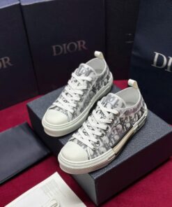 Giày Dior